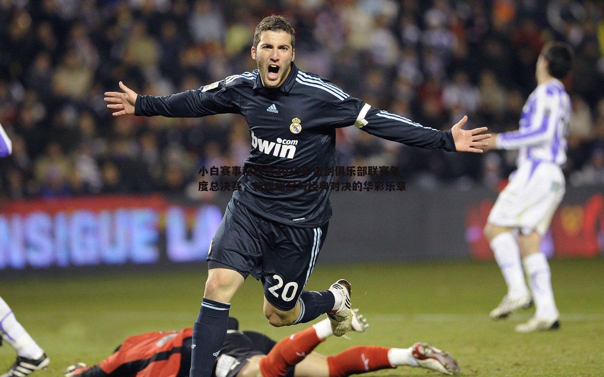 小白赛事秘籍之2019年击剑俱乐部联赛年度总决赛，新锐崛起与经典对决的华彩乐章