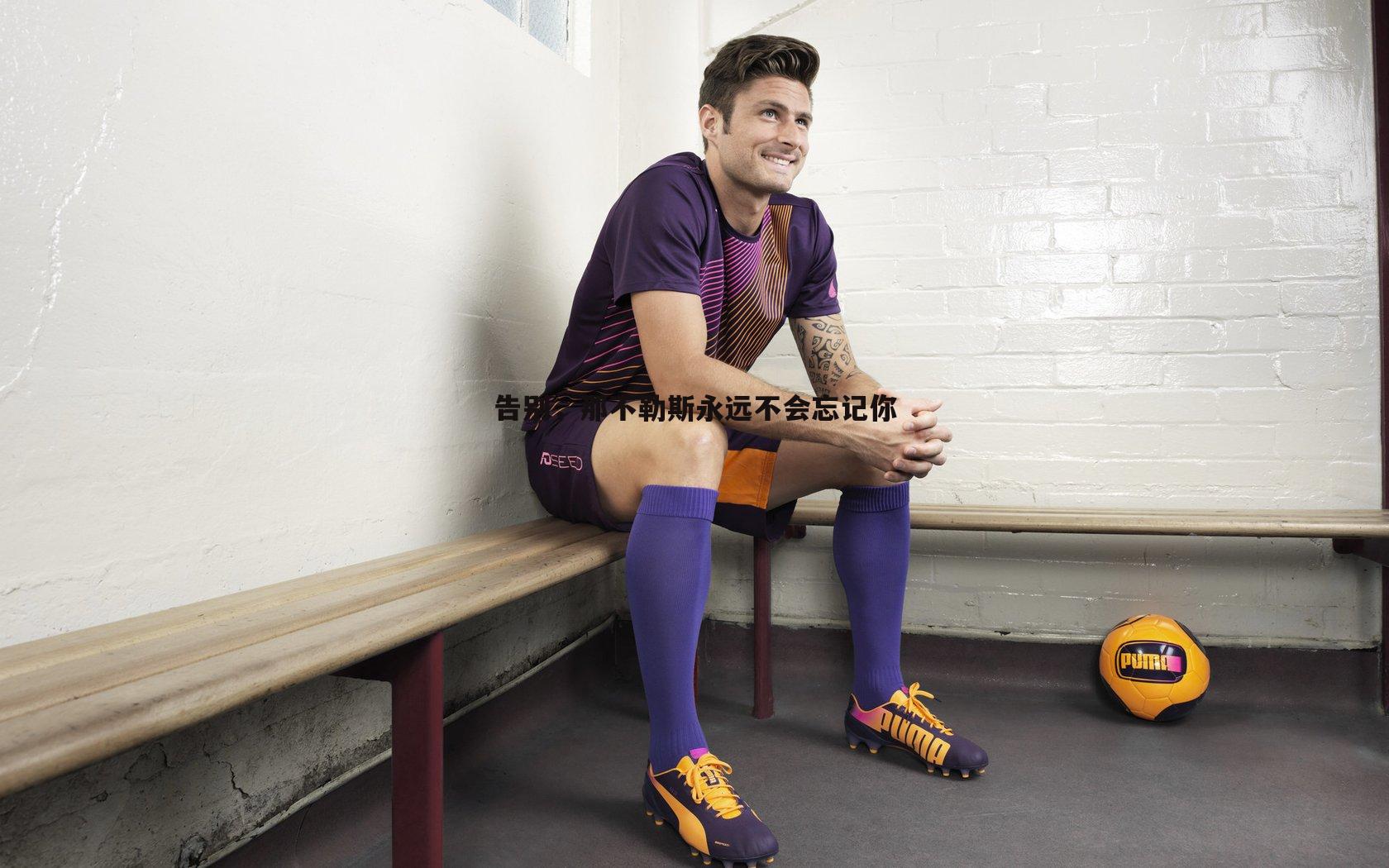 告别,那不勒斯永远不会忘记你